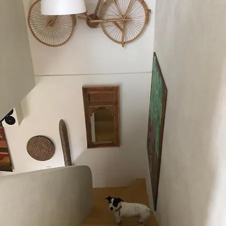 Kuruoba43 Gasthof Ayvacik (Canakkale)